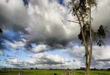 問100個香港跑步人推介跑鞋4｜比賽鞋．四大品牌五大型號外的選擇.